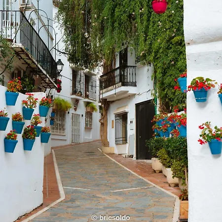 Lejlighed La Petite Foret Seaview Flat Close To Marbella