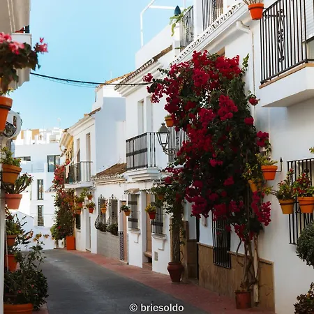 Lejlighed La Petite Foret Seaview Flat Close To Marbella *